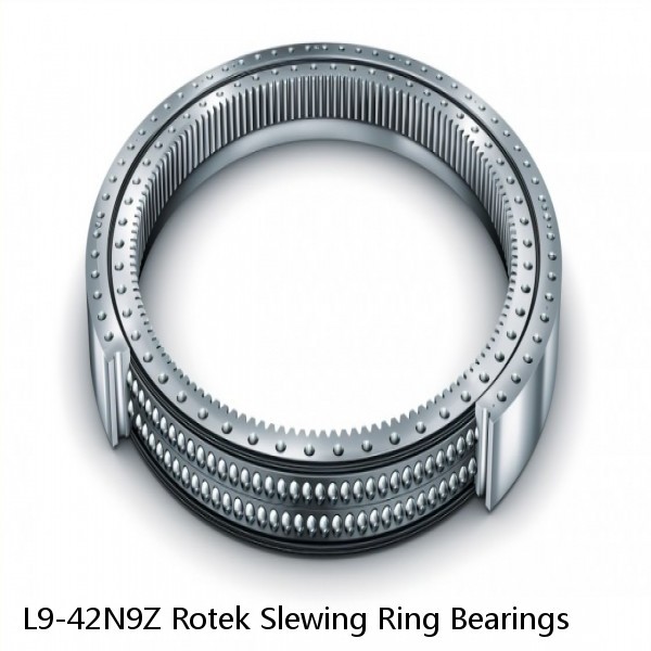 L9-42N9Z Rotek Slewing Ring Bearings