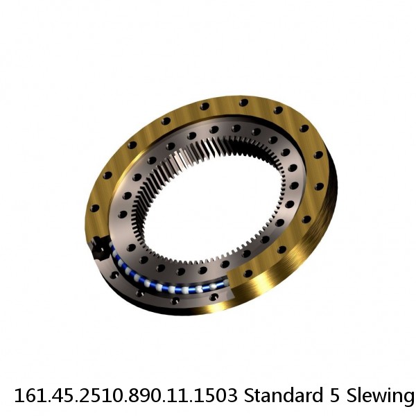 161.45.2510.890.11.1503 Standard 5 Slewing Ring Bearings
