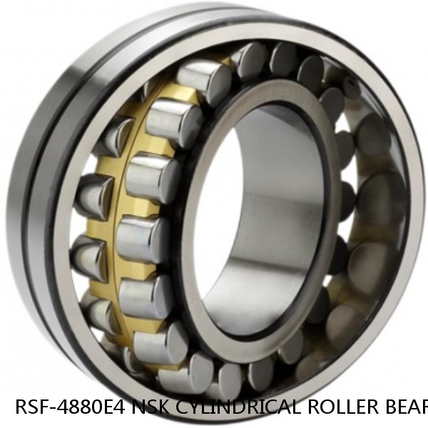 RSF-4880E4 NSK CYLINDRICAL ROLLER BEARING