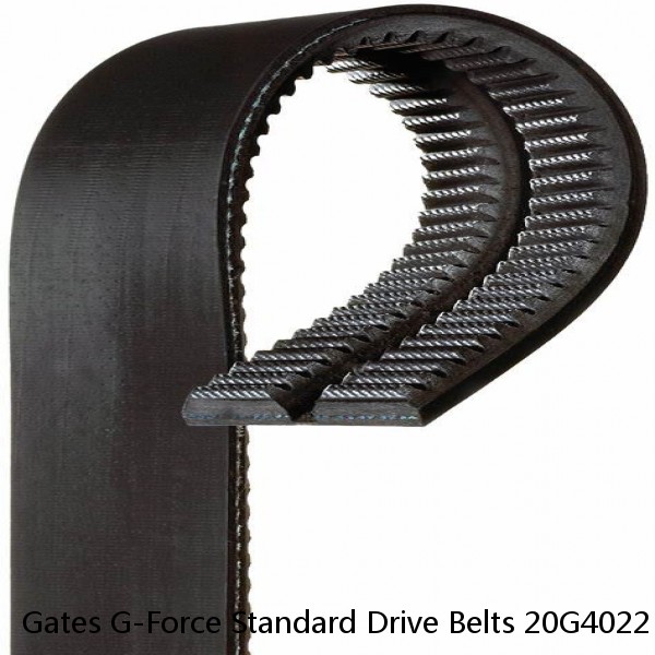 Gates G-Force Standard Drive Belts 20G4022 1142-0559 377314
