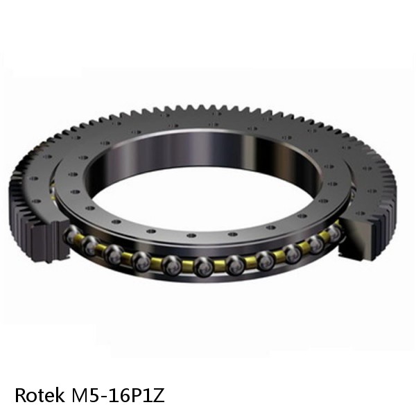 M5-16P1Z Rotek Slewing Ring Bearings