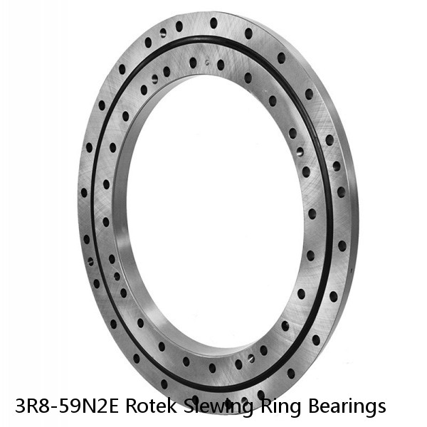 3R8-59N2E Rotek Slewing Ring Bearings