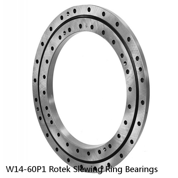 W14-60P1 Rotek Slewing Ring Bearings