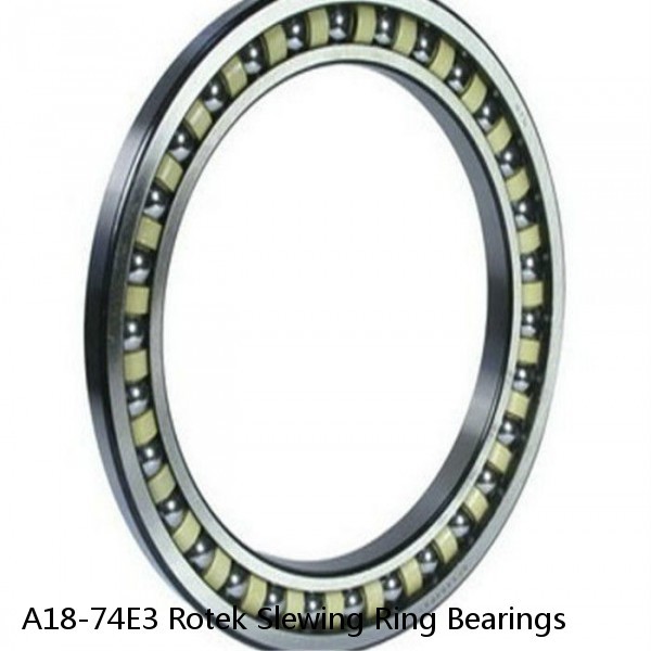 A18-74E3 Rotek Slewing Ring Bearings