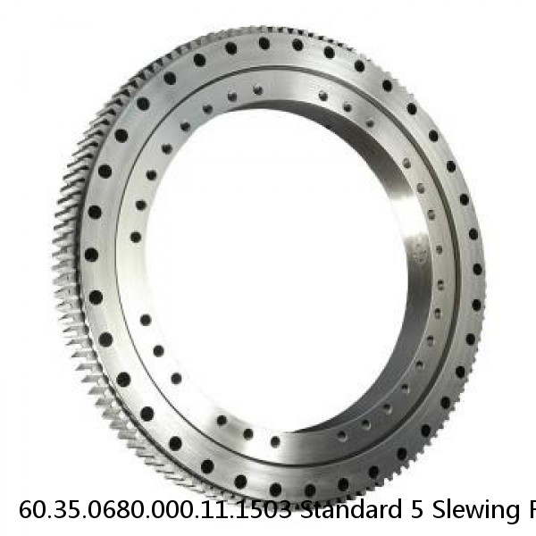 60.35.0680.000.11.1503 Standard 5 Slewing Ring Bearings #1 small image