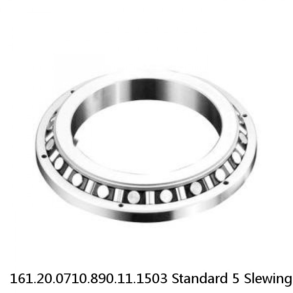 161.20.0710.890.11.1503 Standard 5 Slewing Ring Bearings #1 small image