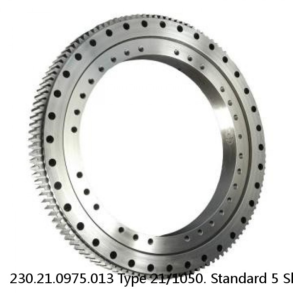 230.21.0975.013 Type 21/1050. Standard 5 Slewing Ring Bearings #1 small image
