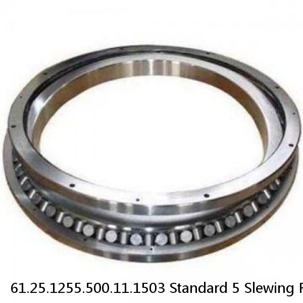 61.25.1255.500.11.1503 Standard 5 Slewing Ring Bearings #1 small image