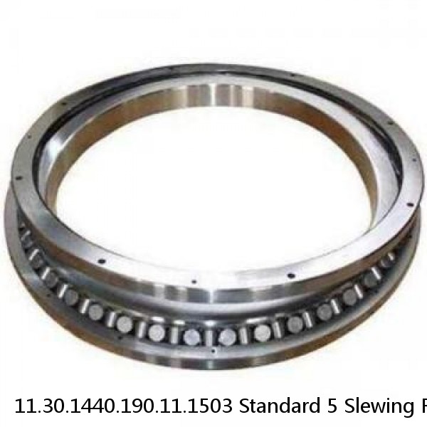 11.30.1440.190.11.1503 Standard 5 Slewing Ring Bearings #1 small image