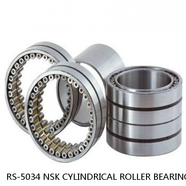 RS-5034 NSK CYLINDRICAL ROLLER BEARING #1 small image
