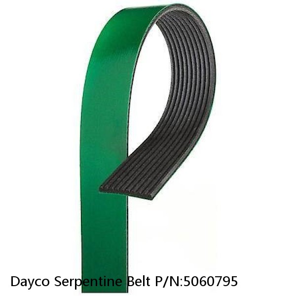 Dayco Serpentine Belt P/N:5060795 #1 small image