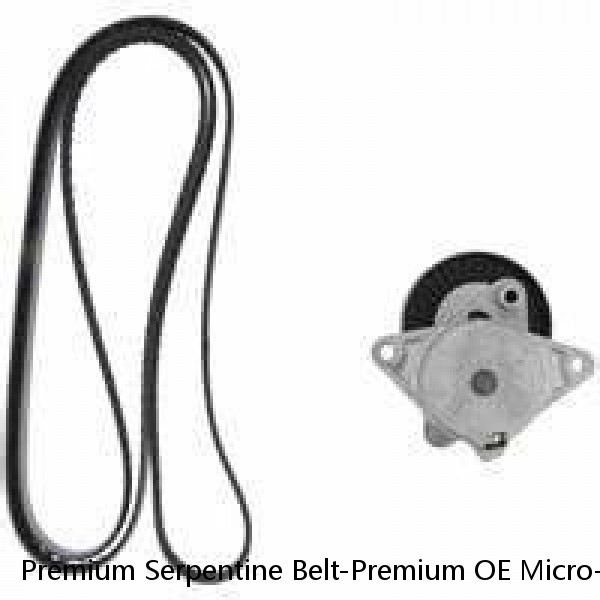 Premium Serpentine Belt-Premium OE Micro-V Belt Gates K060795 (Fast Shipping) #1 small image