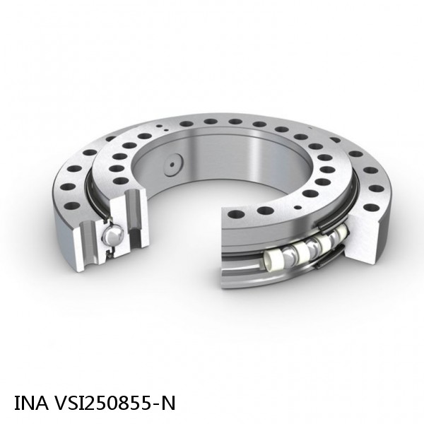 VSI250855-N INA Slewing Ring Bearings #1 image