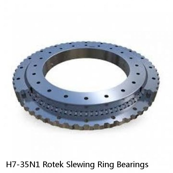 H7-35N1 Rotek Slewing Ring Bearings #1 image