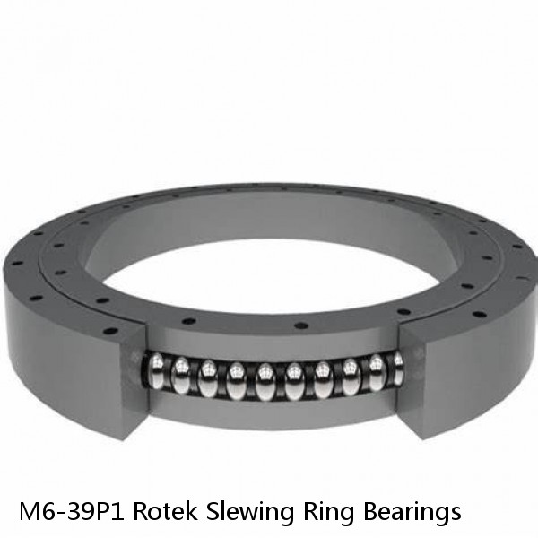 M6-39P1 Rotek Slewing Ring Bearings #1 image