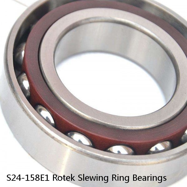 S24-158E1 Rotek Slewing Ring Bearings #1 image