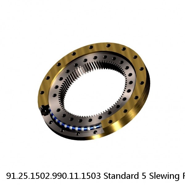 91.25.1502.990.11.1503 Standard 5 Slewing Ring Bearings #1 image