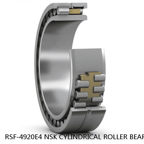 RSF-4920E4 NSK CYLINDRICAL ROLLER BEARING #1 image