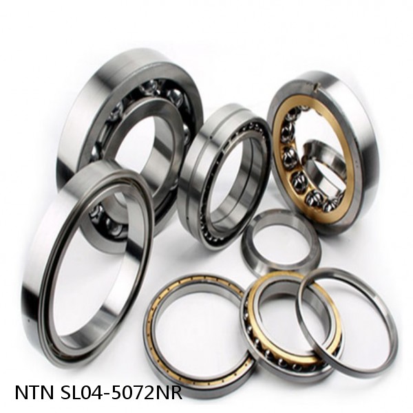 SL04-5072NR NTN Cylindrical Roller Bearing #1 image
