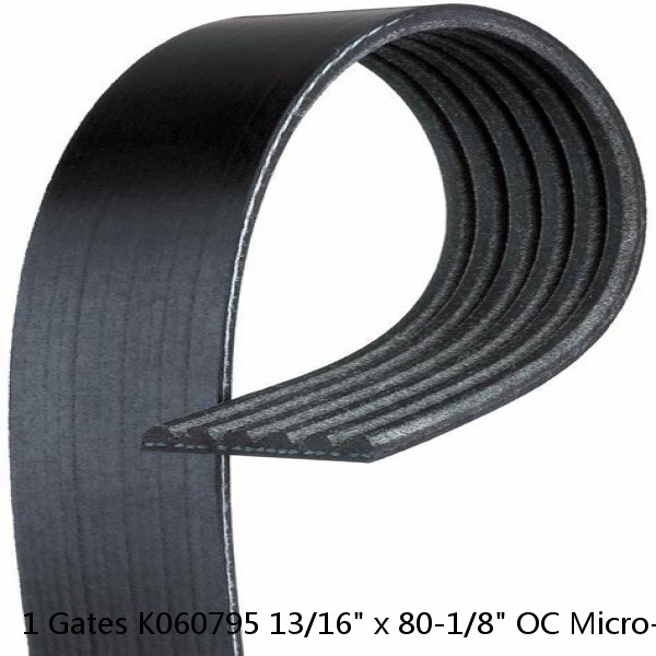 1 Gates K060795 13/16" x 80-1/8" OC Micro-V Serpentine Belt #1 image