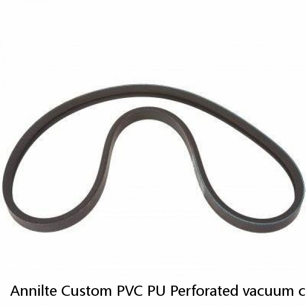 Annilte Custom PVC PU Perforated vacuum conveyor belt Conveyer Rubber belt #1 image