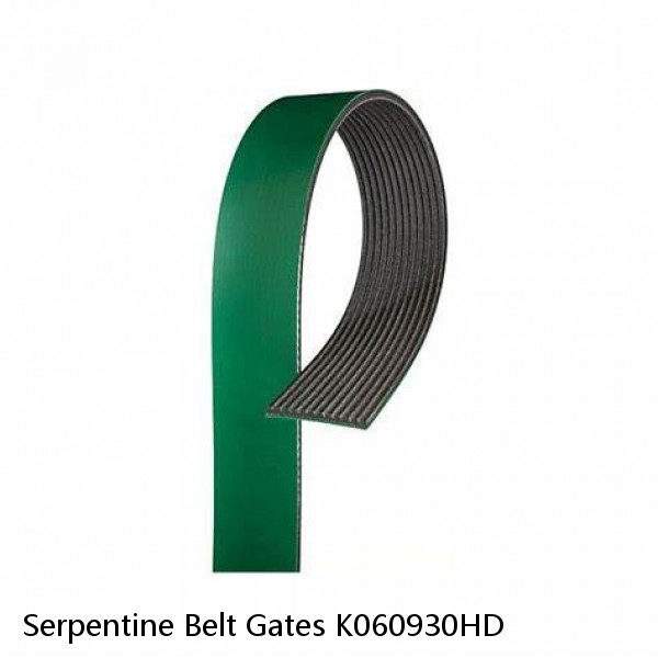Serpentine Belt Gates K060930HD #1 image