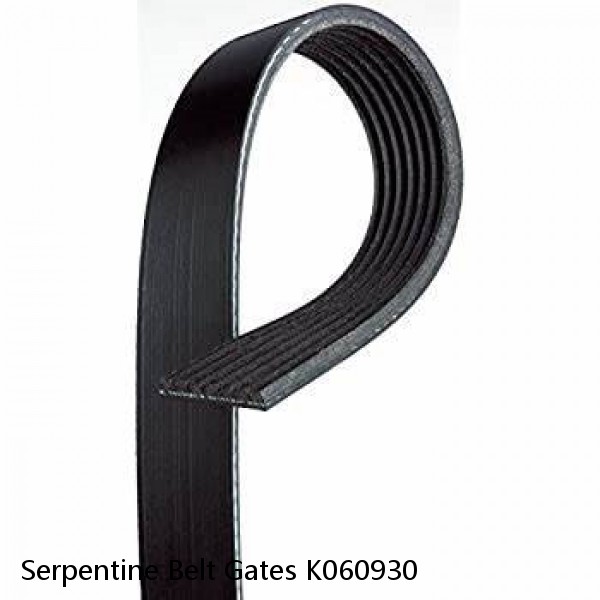 Serpentine Belt Gates K060930 #1 image